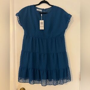 NWT vibrant blue slowly dress size M (F105)